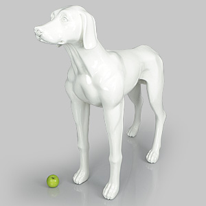 狗模型爱德华 - 亮白色