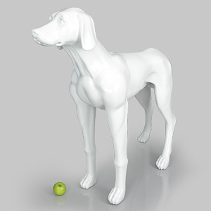 狗模型爱德华 - 哑光白色