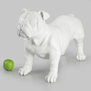 Dog Mannequin Harold - Anti-Scratch White