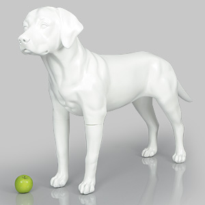 狗模型维多利亚 - 防刮白色